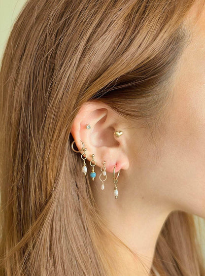 New Arrivlas! - 17.12.23