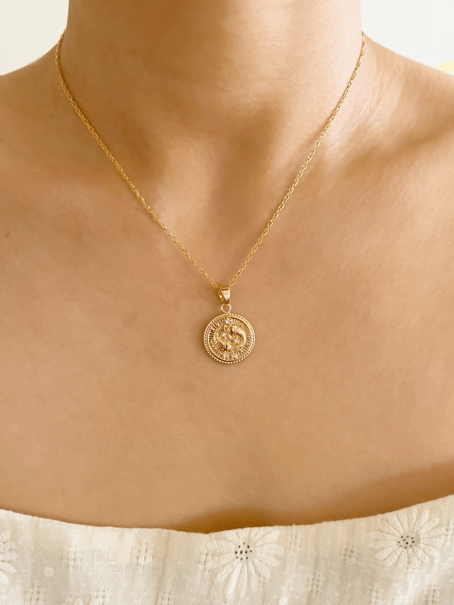 Pisces Zodiac Necklace <br>  FEB 18 - MAR 20