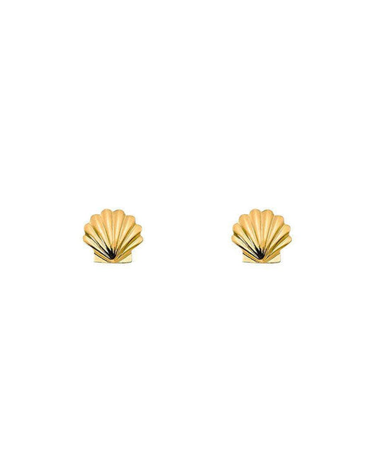 Ariel Clamshell Stud Earrings