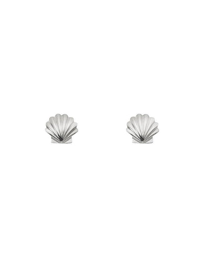 Ariel Clamshell Stud Earrings