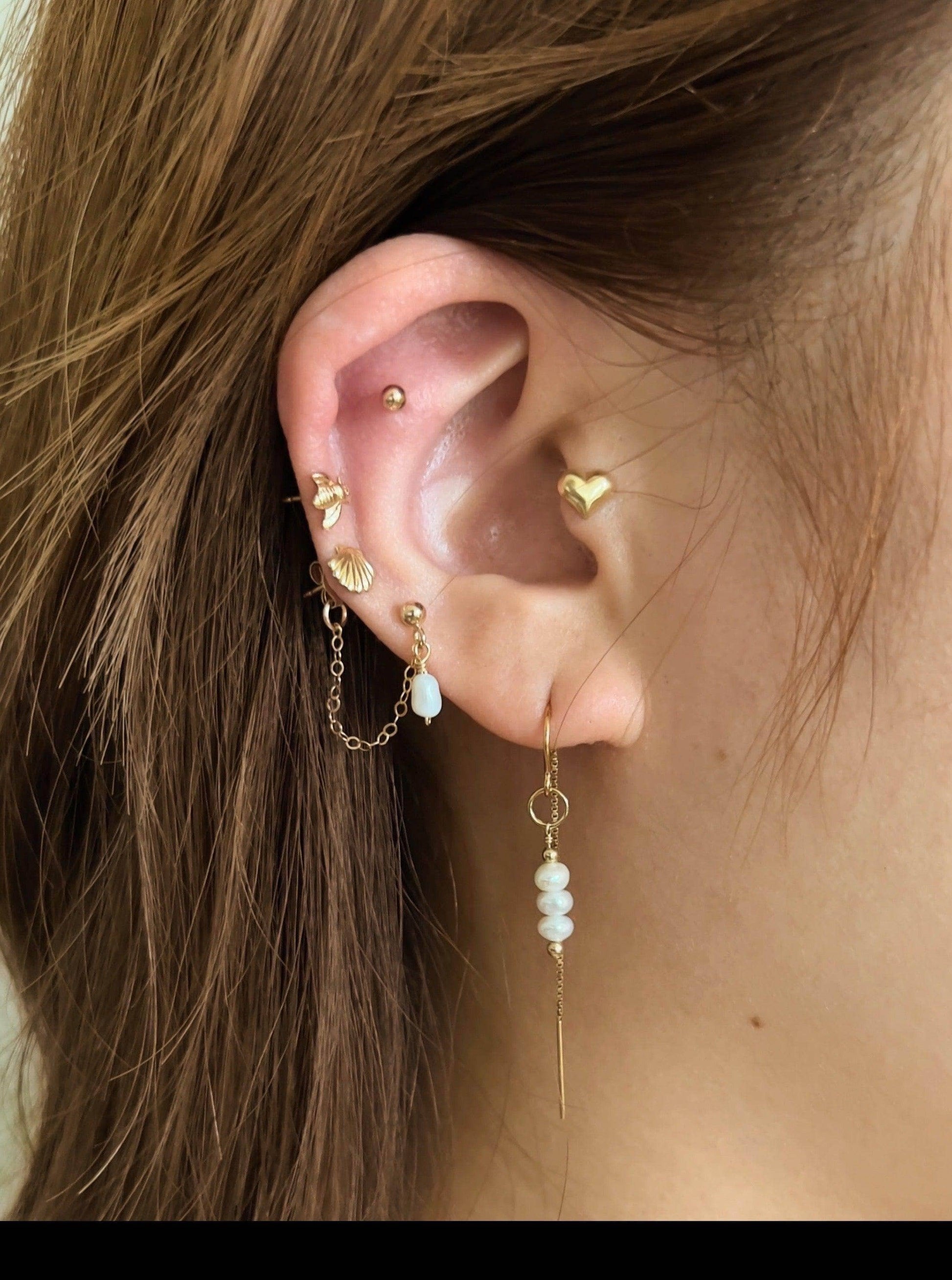 Ariel Clamshell Stud Earrings