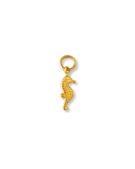 Seahorse Charm
