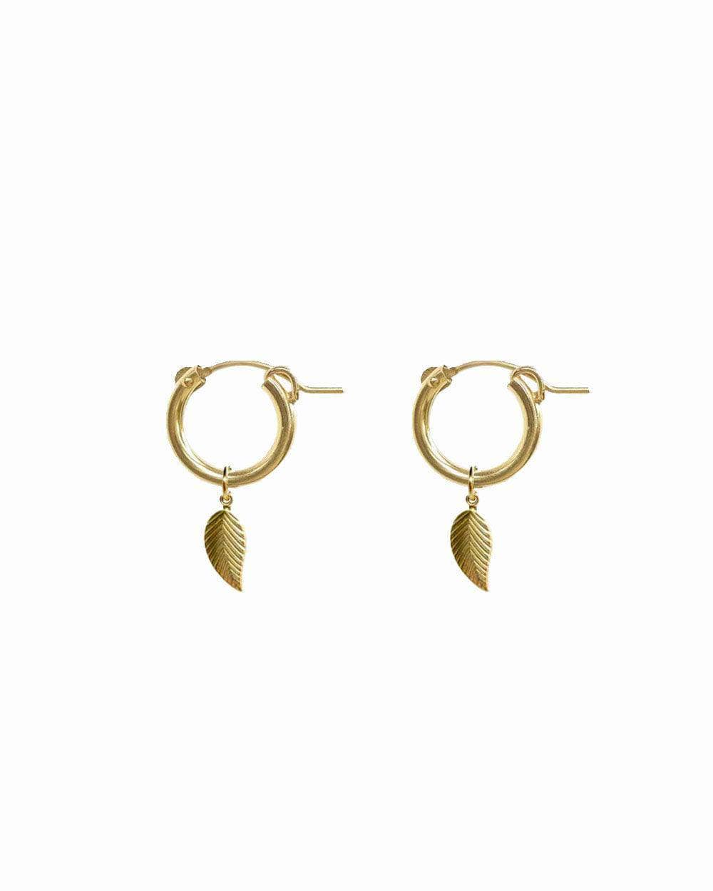 Feuille Hoops
