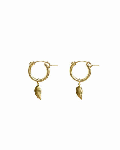 Feuille Hoops