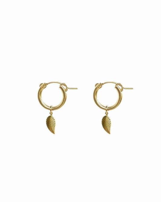 Feuille Hoops